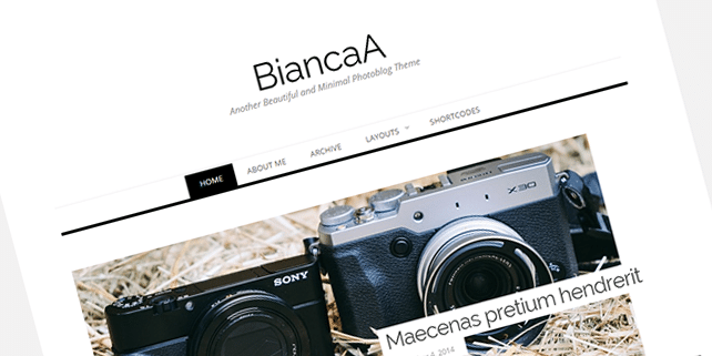 BiancaA – photography WordPress theme