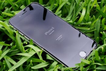 Free iPhone Plus Grass Background Mockup in PSD
