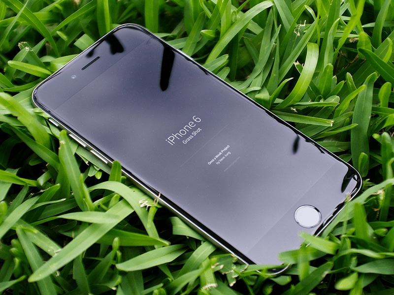 iPhone Plus Grass Background