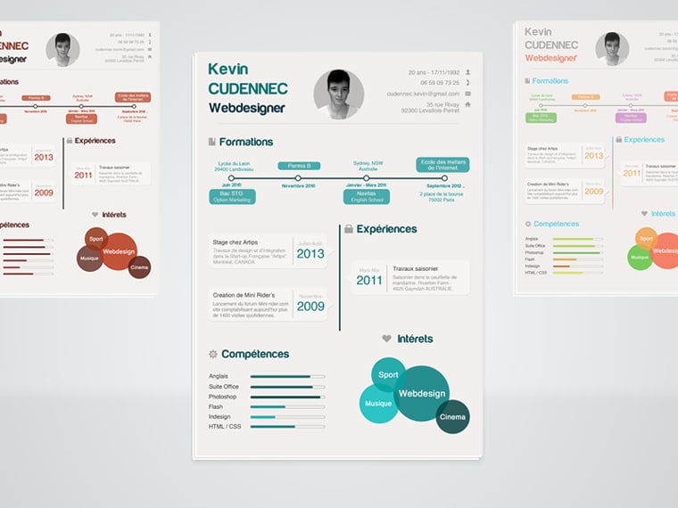 Modern Infographic Style Resume