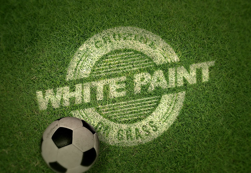 Sporty Grass Logo Design