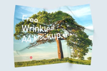 Free Wrinkled A4 Paper Mockup
