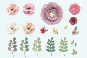 Free Rose Pattern Floral Texture Mockup in PSD