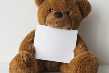 Free Teddy Bear Plus Blank Paper Mockup in PSD