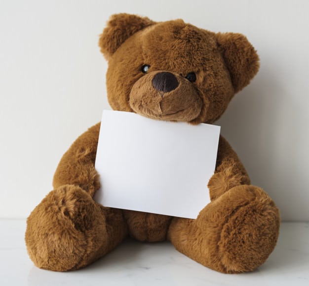 Teddy Bear Plus Blank Paper