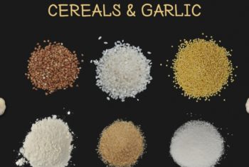 Free Cereals Plus Garlic Ratatouille Dish Mockup in PSD