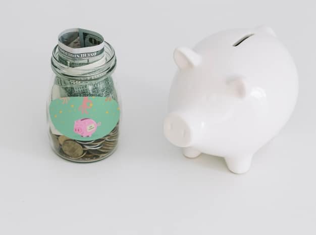 Savings Money Plus Piggy Bank