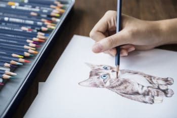 Free Adorable Kitten Illustration Mockup in PSD