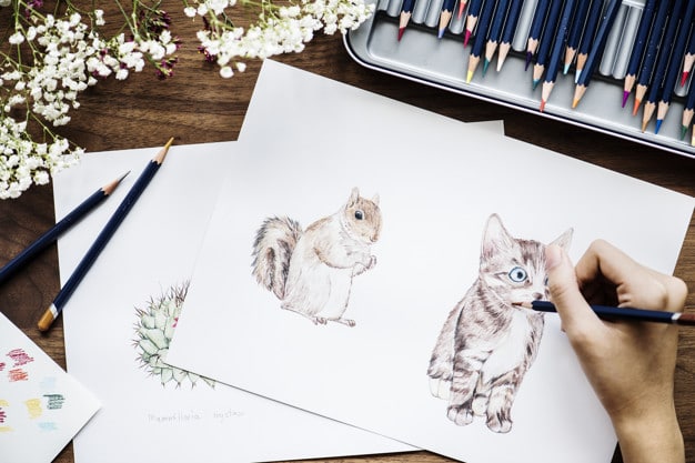 Workspace Plus Adorable Animal Drawings