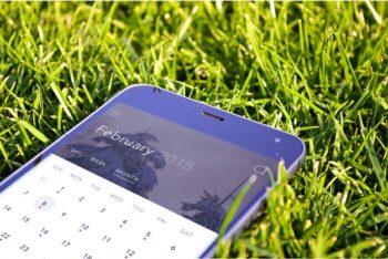 Free Smartphone Plus Grass Mockup in PSD