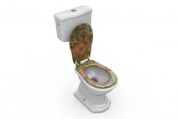 Free Fancy Toilet Bowl Mockup in PSD