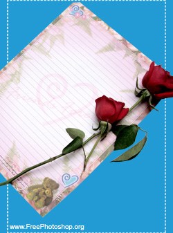 Love Letter Plus Rose