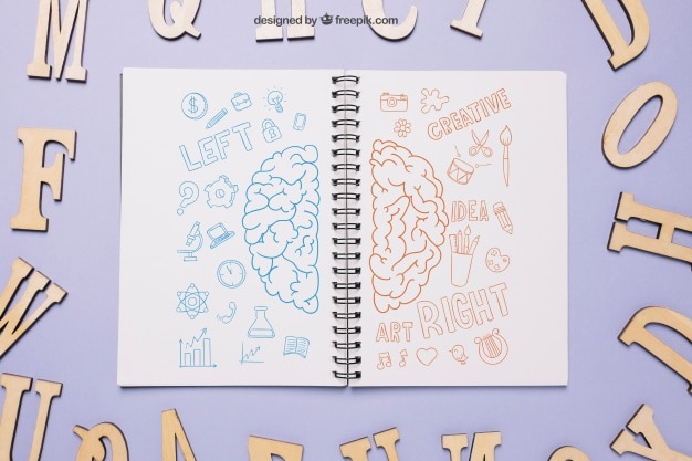 Brain Hemisphere Notebook Drawing