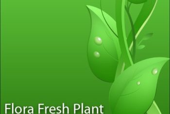 Free Fresh Plant Vector Design Mockup in PSD