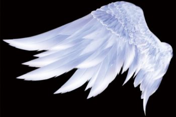 Free Angelic Wings Template Mockup in PSD