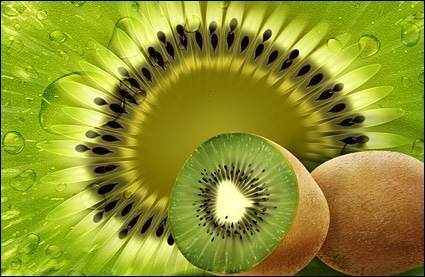 Kiwi Fruit Concept