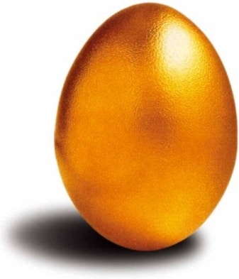 Precious Golden Egg