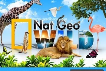Free Nat Geo Wild Concept Mockup in PSD