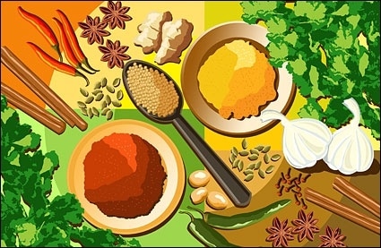 Spice Plus Seasoning Illustration