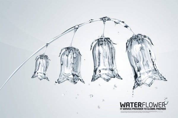 Creative Water Plant Art