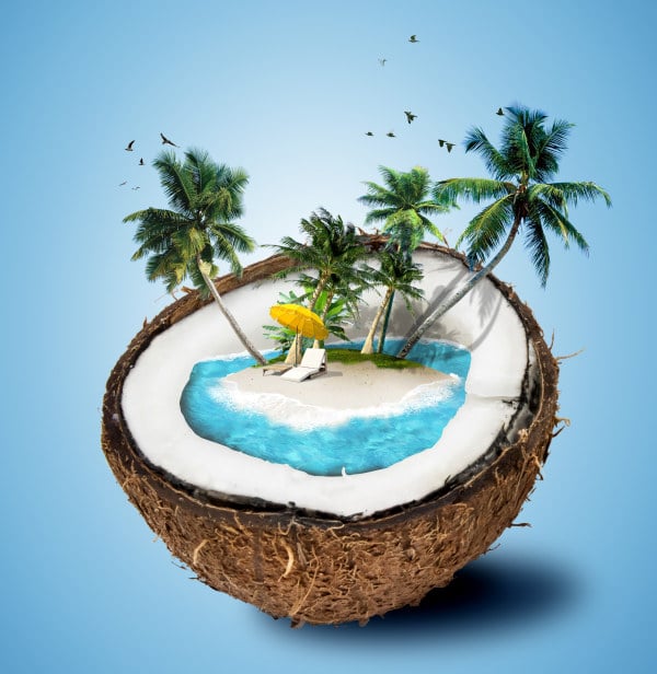Creative Open Coconut