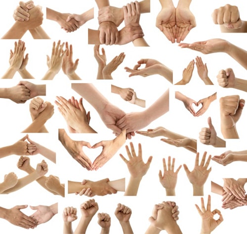 Hand Gesture Variety Collection