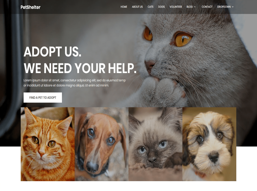 Online Animal Shelter