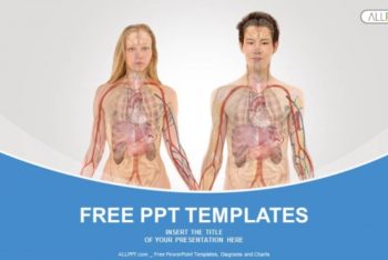 Free Human Anatomy X-Ray Powerpoint Template