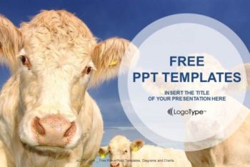 Free Farm Cows Scene Powerpoint Template