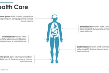 Free Anatomy Health Care Powerpoint Template