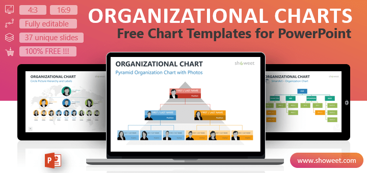 Organizational Chart Slides