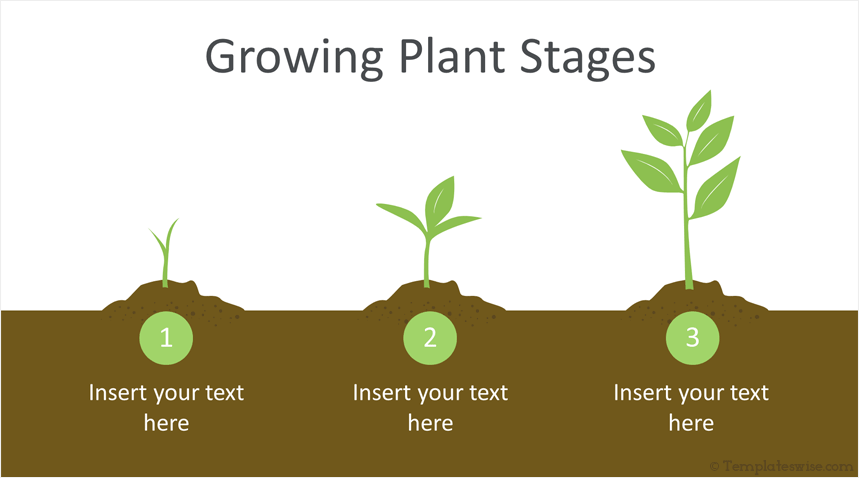 Plant Growing Tips