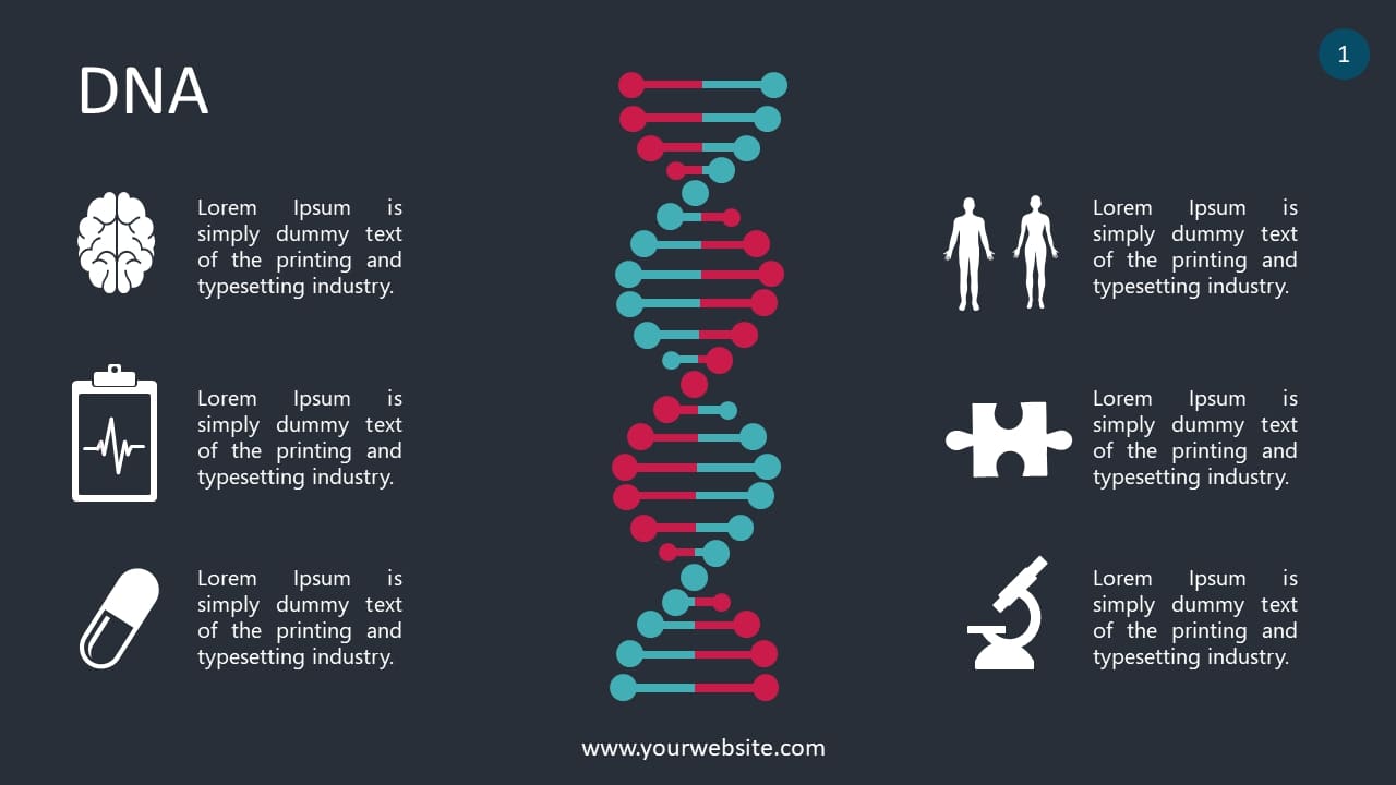 DNA Lesson Infographics