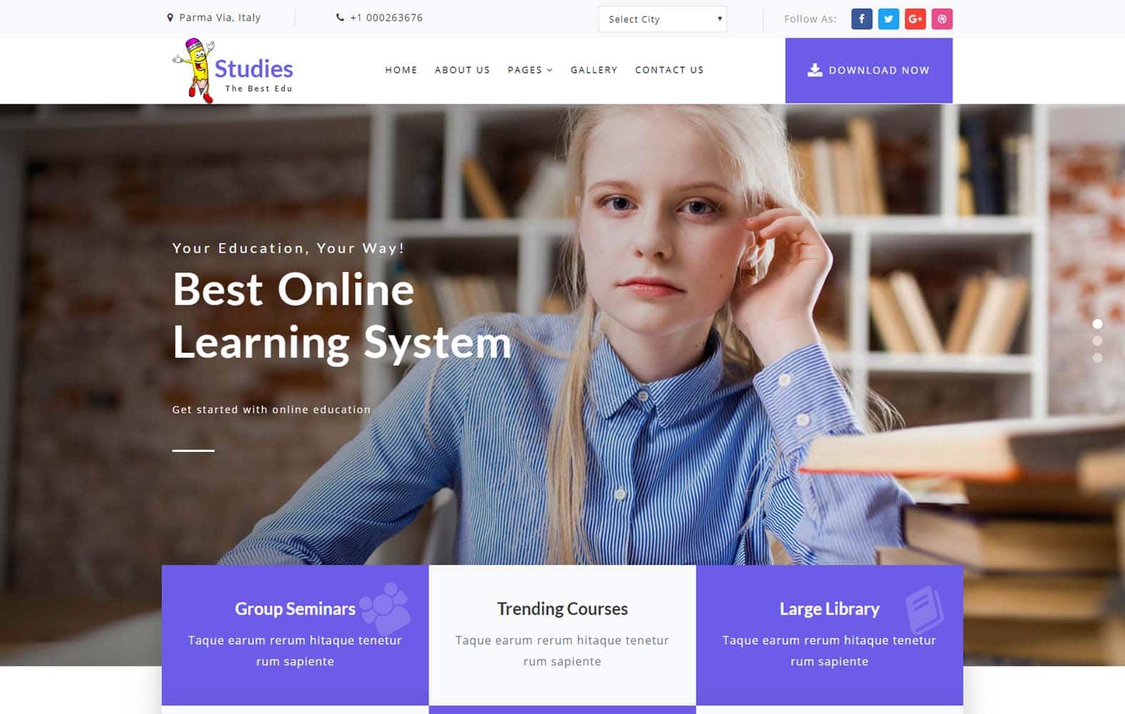 Studies - education website template