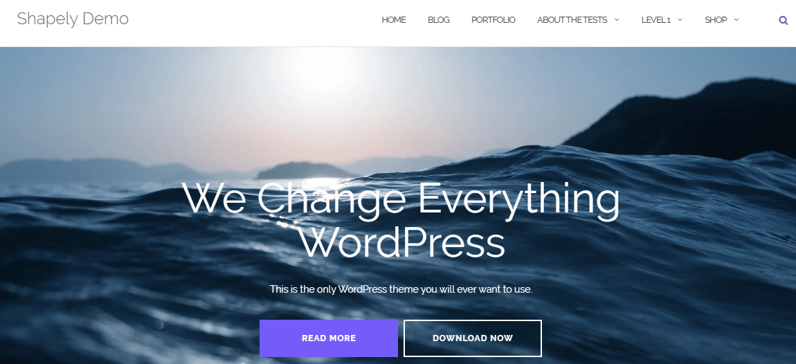Shapely – One Page WordPress Theme