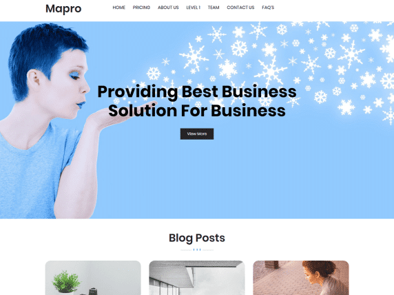 Mapro - multipurpose WordPress theme