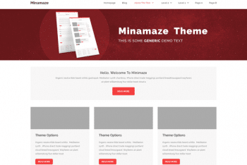 Miniamaze eMagazine WordPress Theme