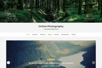 Online Photography WordPress Theme