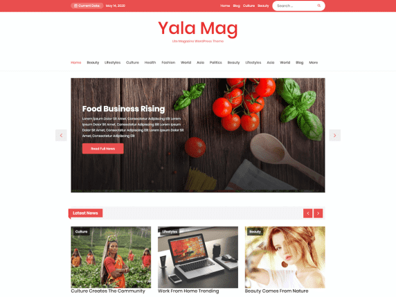 Yala Mag- magazine/news website WordPress theme