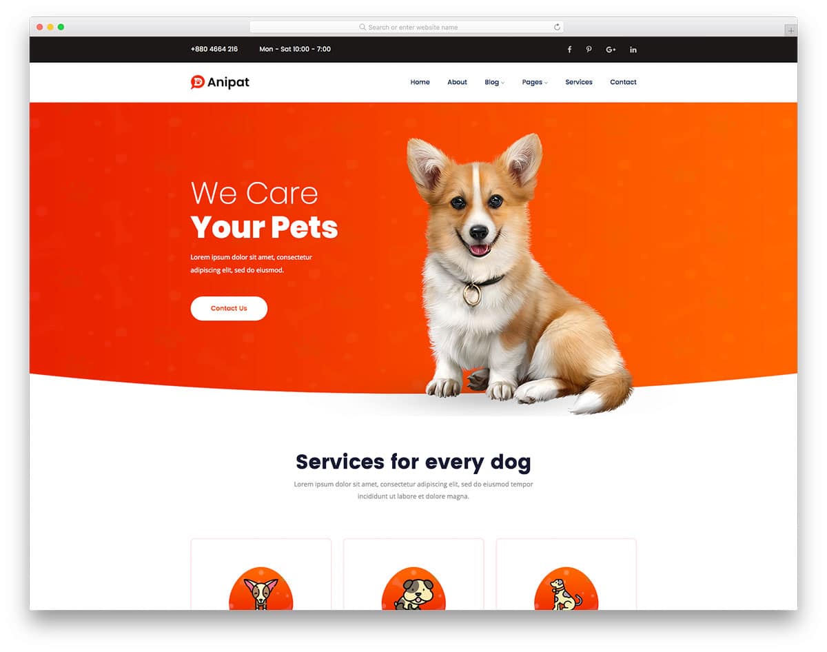 Anipat - pet care website HTML template
