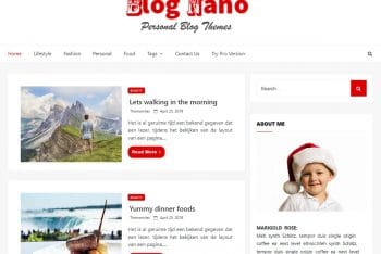 Blog Nano – Personal Blog WordPress Theme