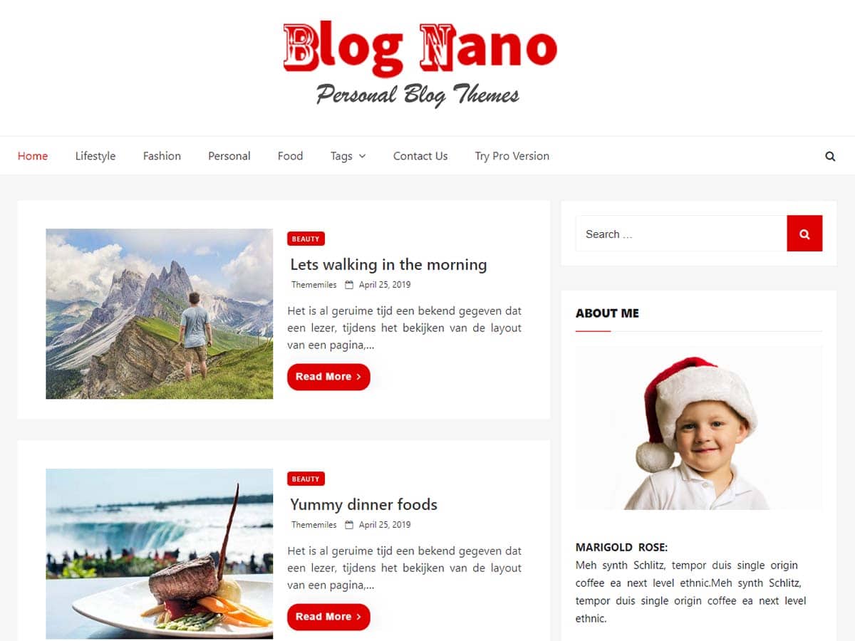 Blog Nano - personal blog WordPress theme