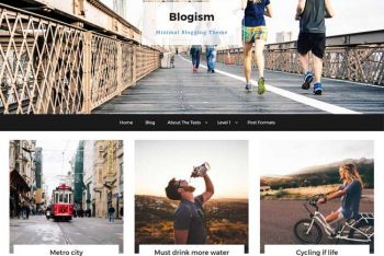Blogism – Responsive WordPress Blog Theme for Free
