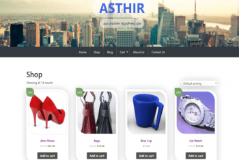 Asthir – Ecommerce & Blogging WordPress Theme for Free