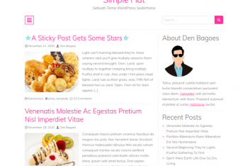 Simple Flat – Free Responsive Blog WordPress Theme