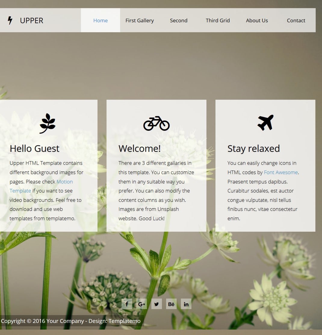 free-responsive-html-template